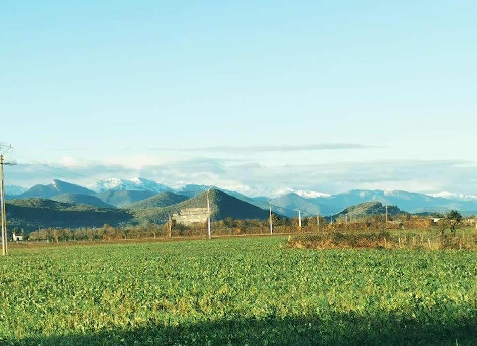 T3 Au Pied Des Pyrenees Apartamento Pointis-de-Riviere Exterior foto